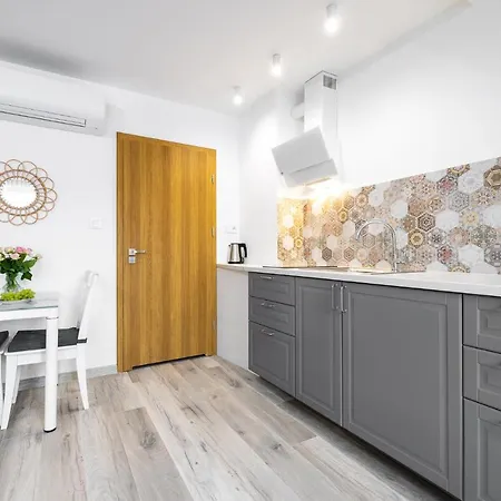 Apartment Polanka *