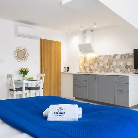 Polanka Apartment