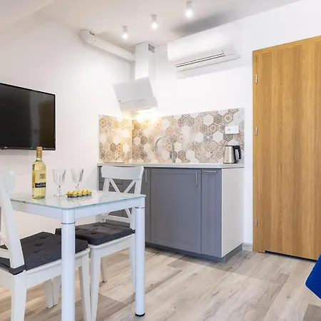 Apartment Polanka *